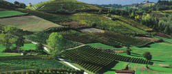 pic_Sternfahrt Piemont