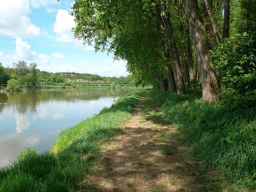 Elbe