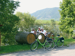 pic_Mosel-Radweg: Von Winzerhof zu Winzerhof