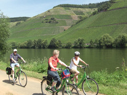 pic_Mosel-Radweg: Der Klassiker von Trier bis Koblenz