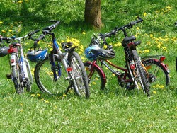 Mountainbikes