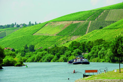 pic_Fränkischer Rad8er: Rundtour ab Bad Mergentheim