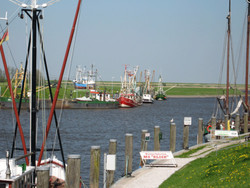 pic_Ostfriesland Sternfahrt: Küste, Leuchttürme und Wattenmeer