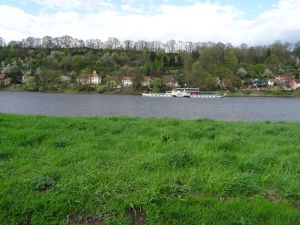 obervogelgesang-pirna-dampfer-malerweg-c-augustustours_WEB 34002997302_o.jpg