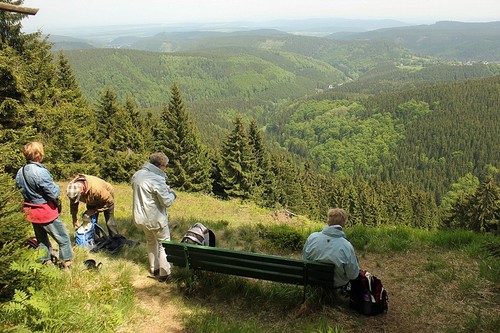 Landferienhaus Linde Wandergruppe Blühende Wiesen.jpg