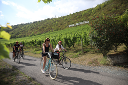 Auf dem Saaleradweg durchs Saale-Unstrut-Weinanbau-Gebiet_Quelle Saaleland_Foto V.GrÃ¤tsch.JPG