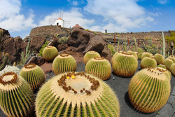pic_Fuerteventura und Lanzarote - die Schönheit der Elemente