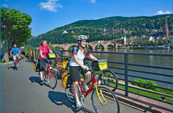 pic_Winzertour am Rhein
