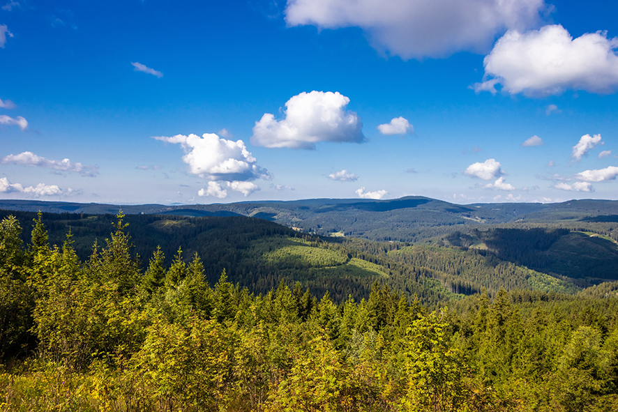 Thüringen.jpg